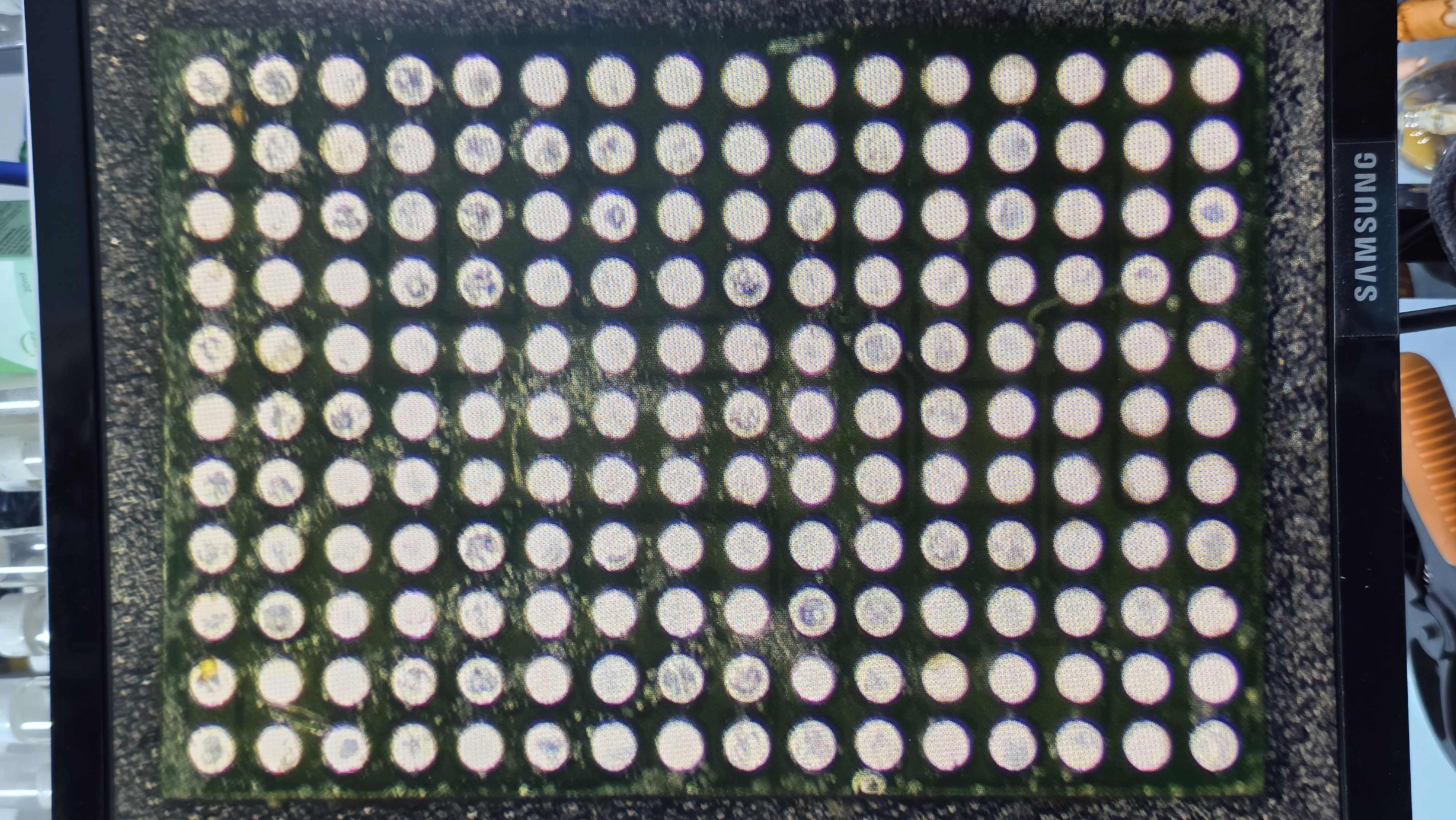 Chip de pantalla macbook m2 codigo DP855A